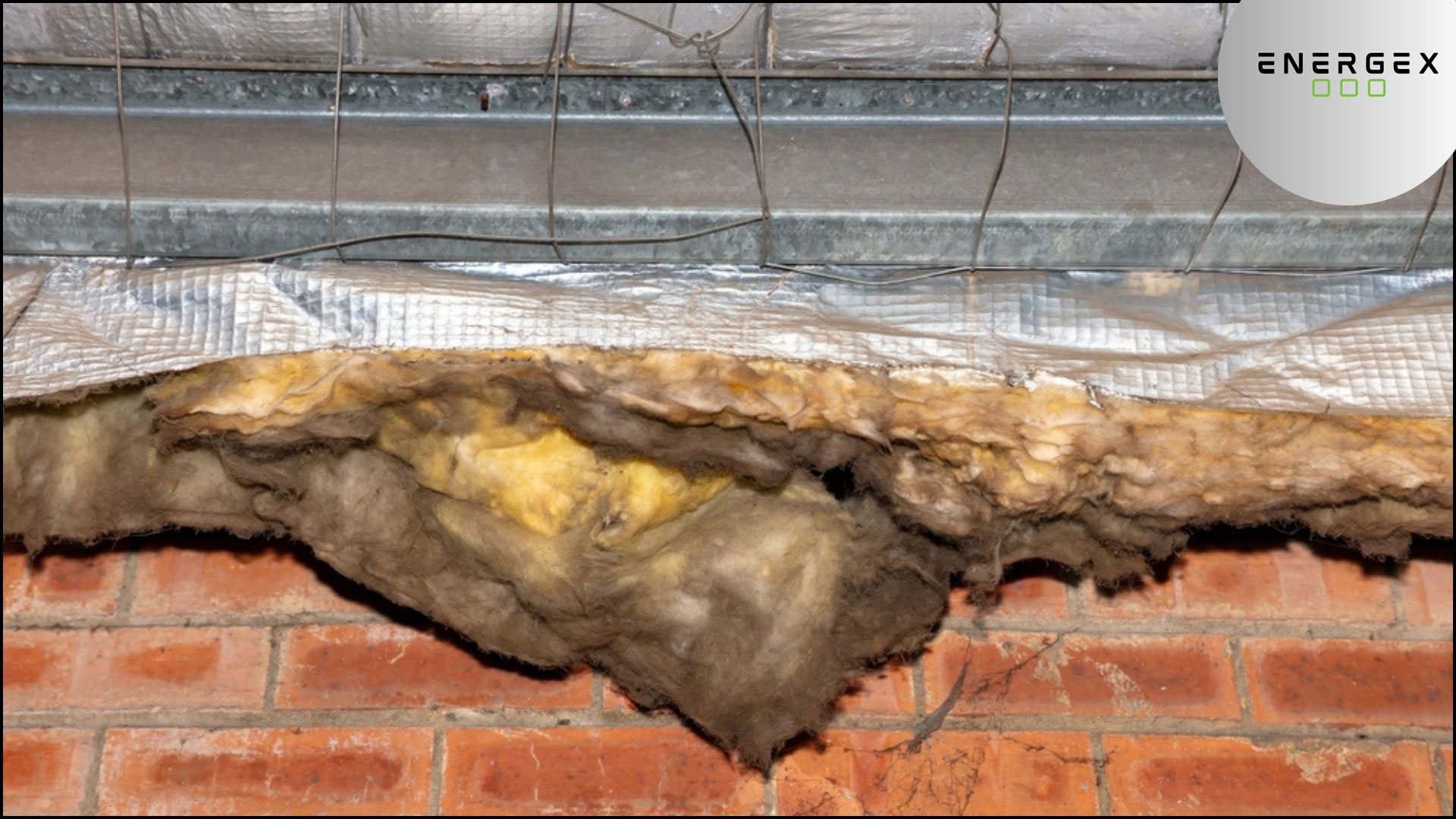 Visible Damage to Insulation