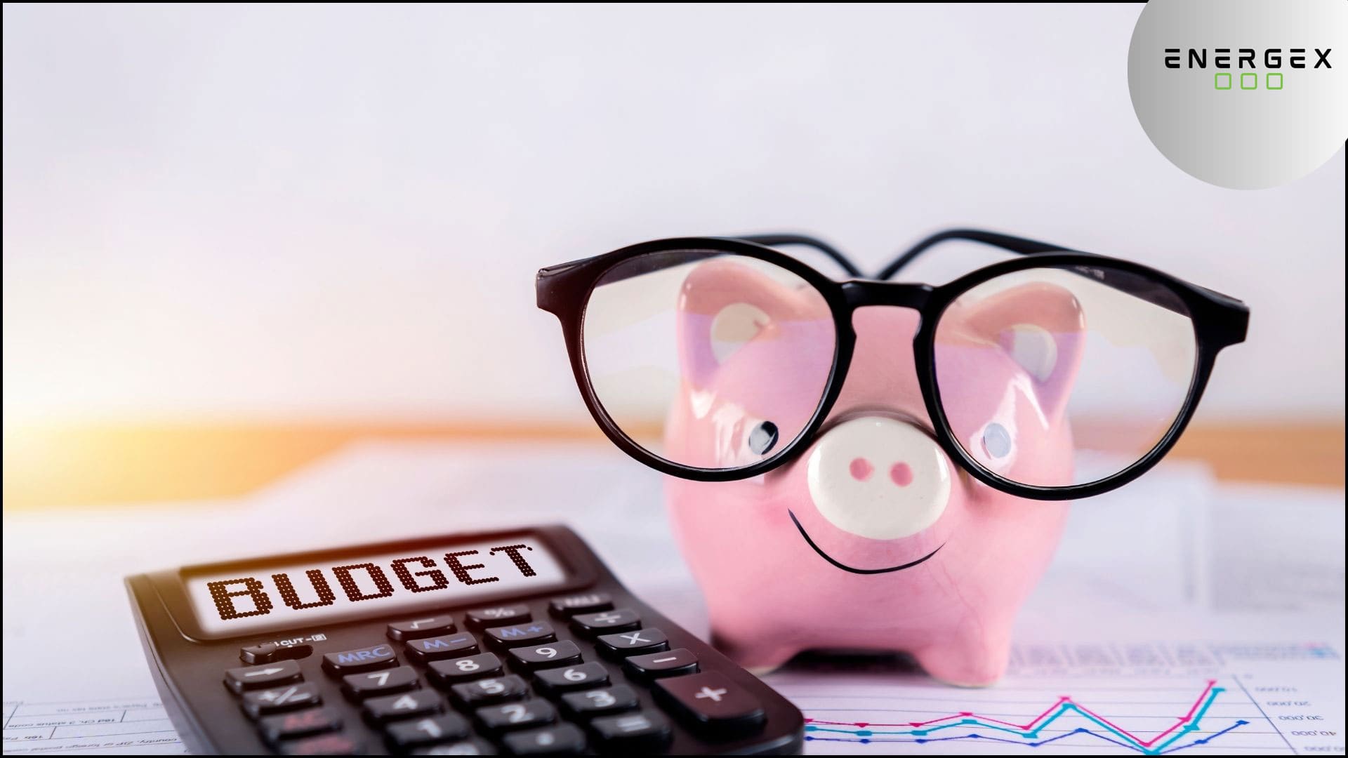 Financial Aspects of Replacing Insulation